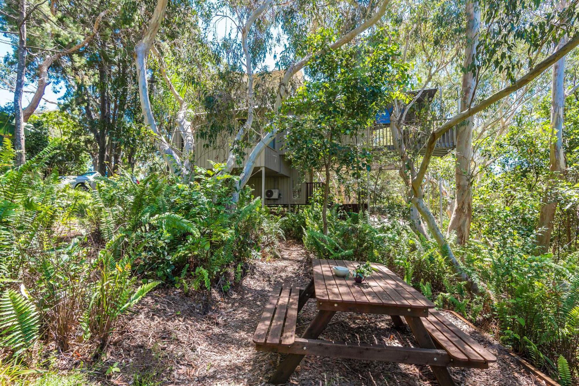The Oasis Apartments And Treetop Houses Byron Bay Cameră foto